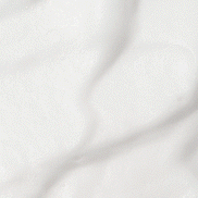 Snow Enzyme Cleanser EX